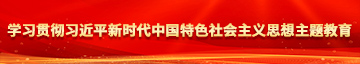 美女任人抽插学习贯彻习近平新时代中国特色社会主义思想主题教育